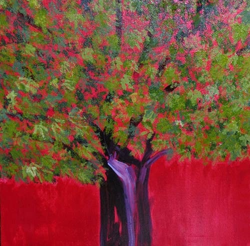 Fig Tree