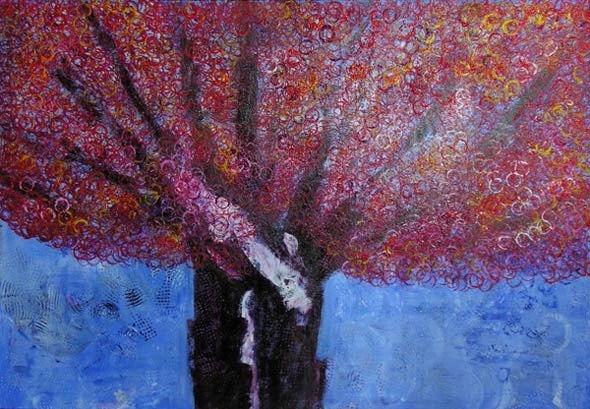 Olive Tree